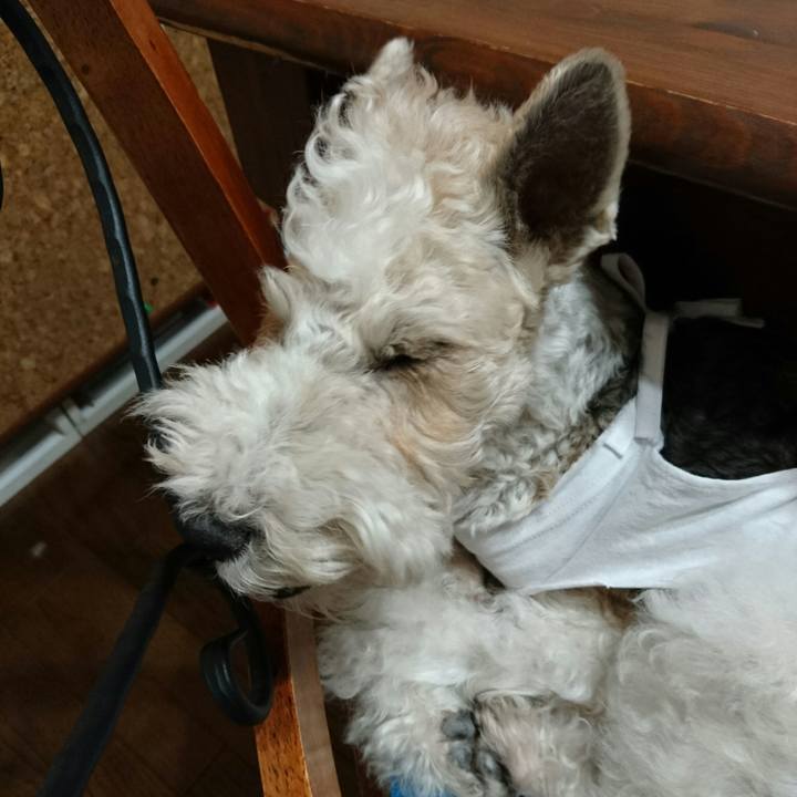 Eb978544 fc7d 4146 bcb1 1b3ee4699a62