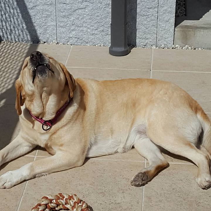 Eb97a56d 4dff 4a17 bd63 7f19cf31af5a