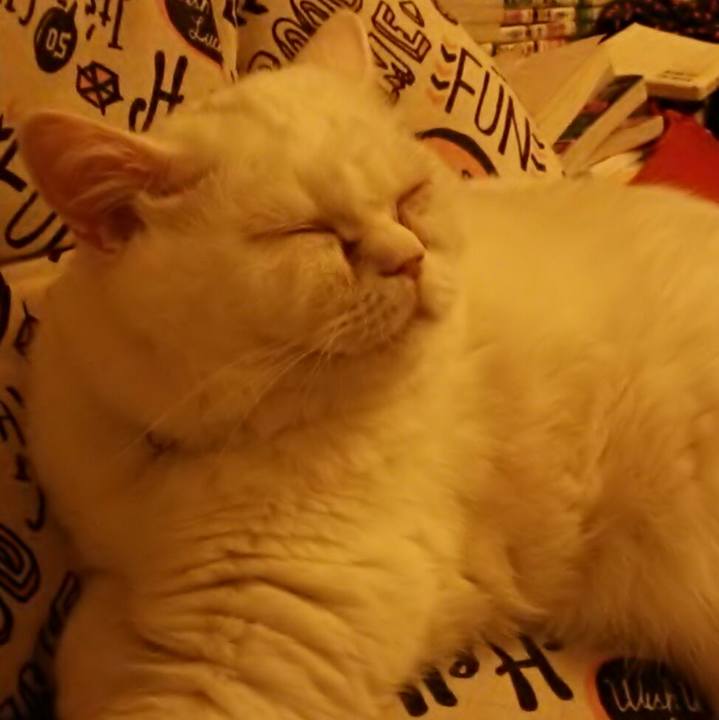 Eb97ca1f af8c 4326 98a5 d8c510cc628b