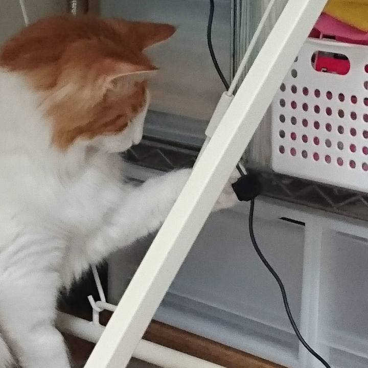 Eb9817a8 ba06 4aff b219 48ee7cbc3643