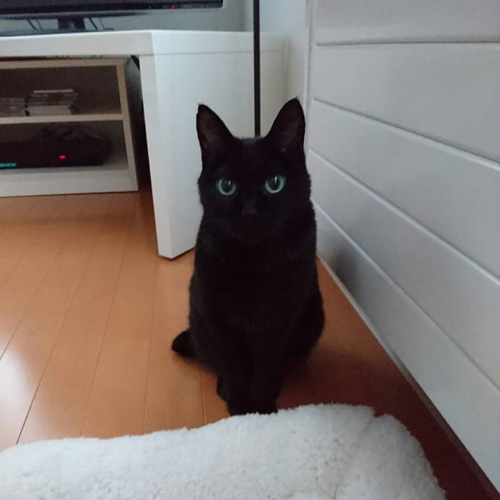 Eb9830b8 43bf 4742 8b65 cded9699dc69