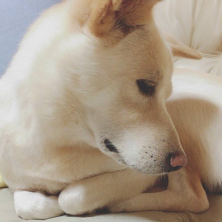 Eb986721 98cf 4db8 87b5 809e5dda353b