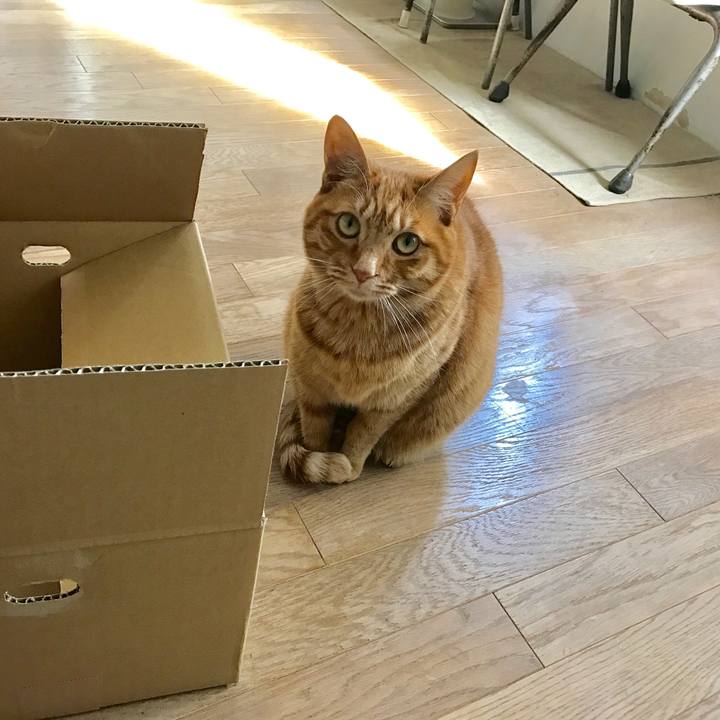 Eb987a20 96ad 4bf8 a154 c1e827f69ff7