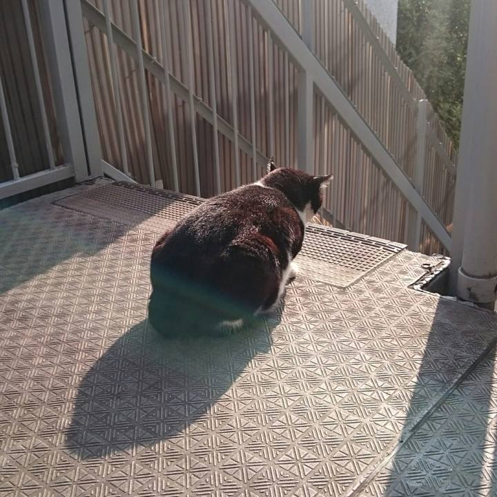 Eb987aaf 9993 48b6 9cc0 5aeec4940210