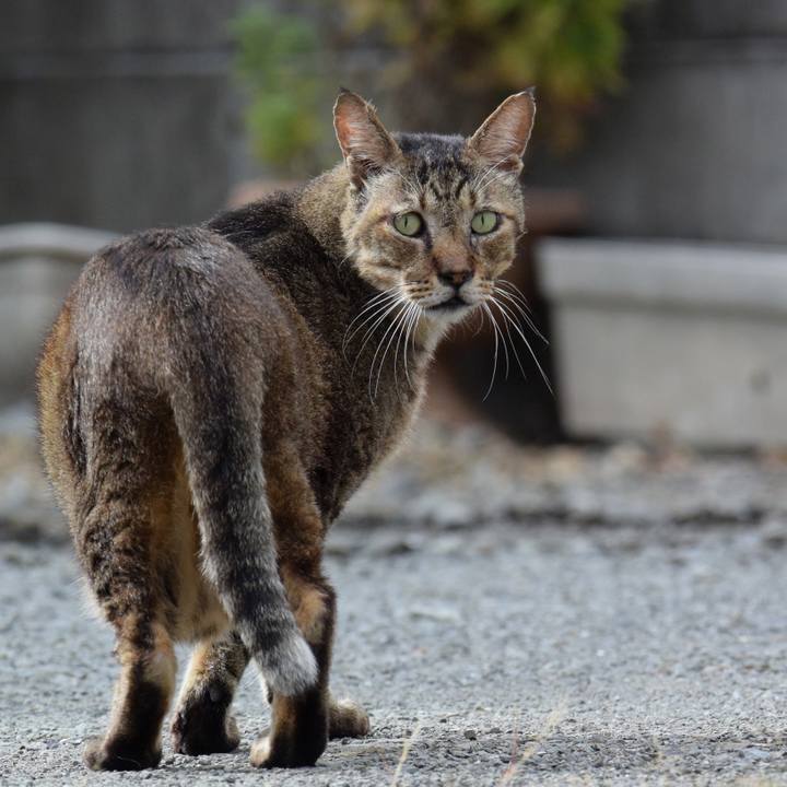 Eb987e30 9be3 426f bd65 40caef7433b5