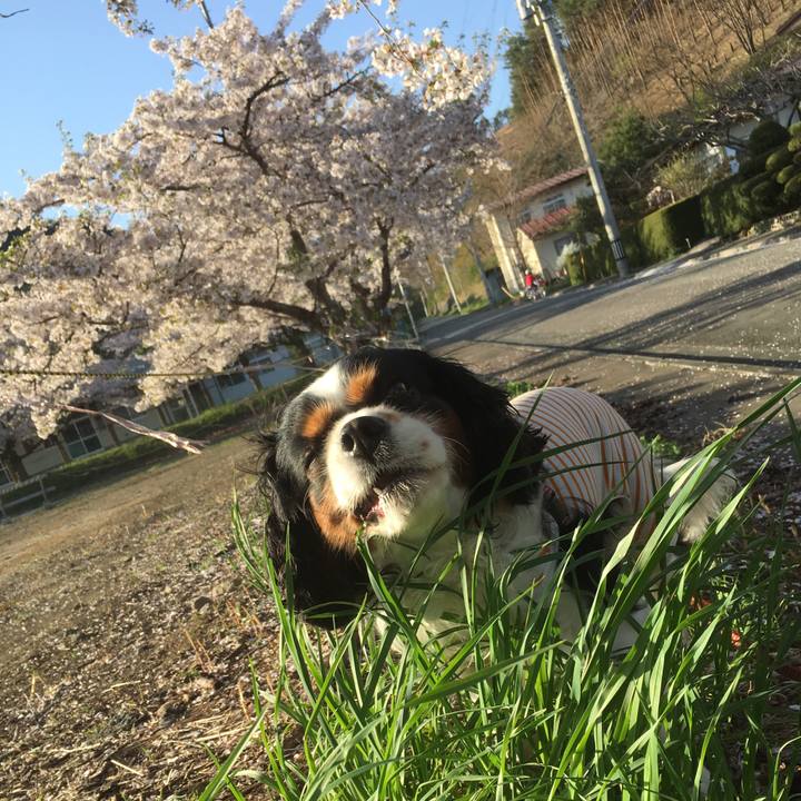 Eb98e93c e85e 432a bce1 f11768341175