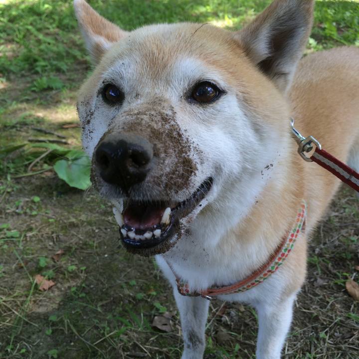 Eb990993 fe9d 4709 9620 a03fecaecaa9