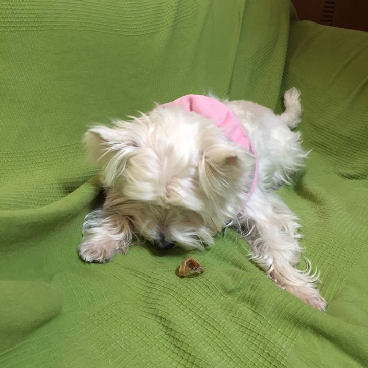 Eb9920c3 0049 4715 883d edc0a5e3007c