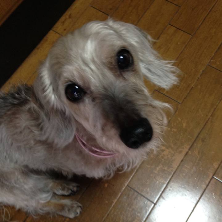 Eb999e90 c7ae 4eb6 a719 be9d2f2aab11