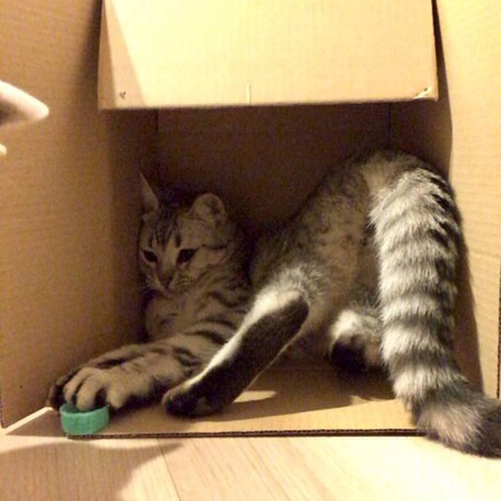 Eb99ba7d 3958 4e8c 843d f36893241175