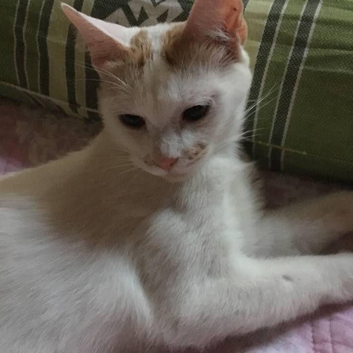 Eb9af7c2 babb 4abf 86a5 e428a61fc5cf