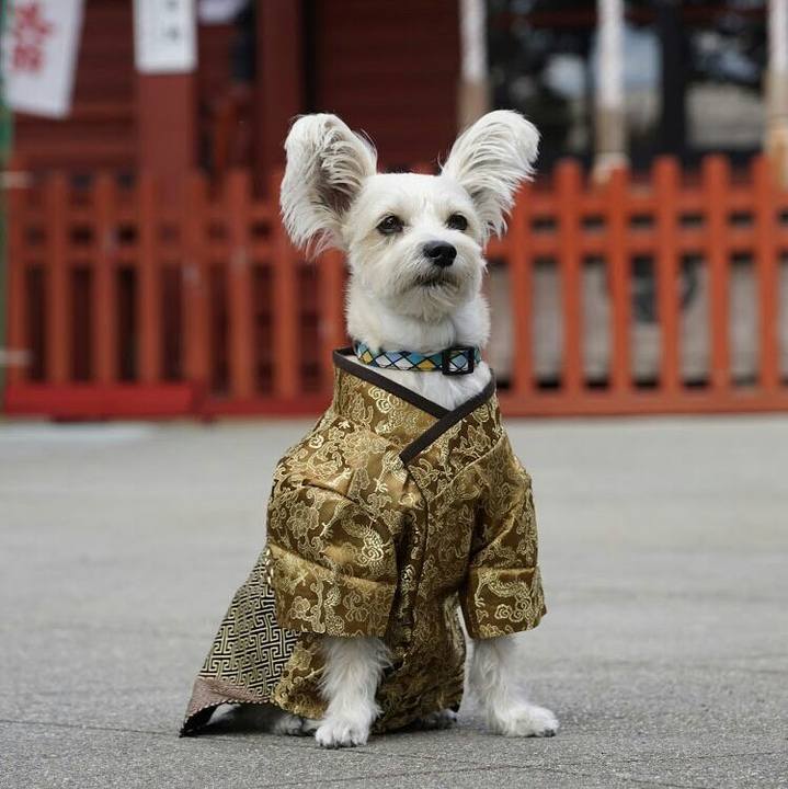 Eb9b4e78 3173 4102 a063 863e2172265f