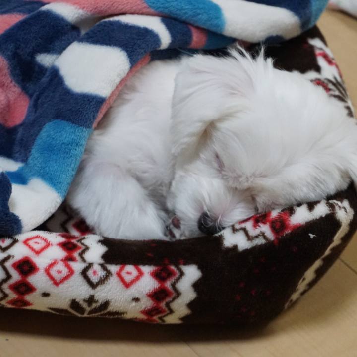 Eb9c28c0 bd4d 40e9 83e7 d768c6ba6900