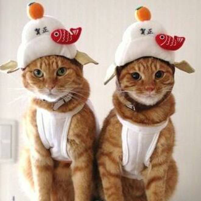 Eb9c8d68 893e 44cd a8e9 3cf1763d2c61