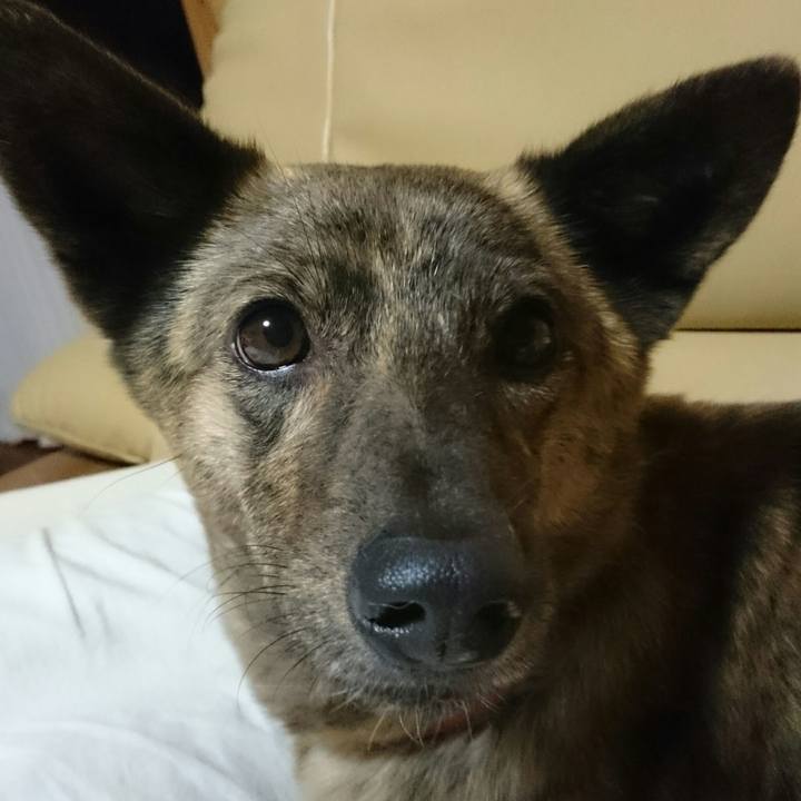 Eb9d408f aeb8 4f58 a39f 7f8bf5a68123