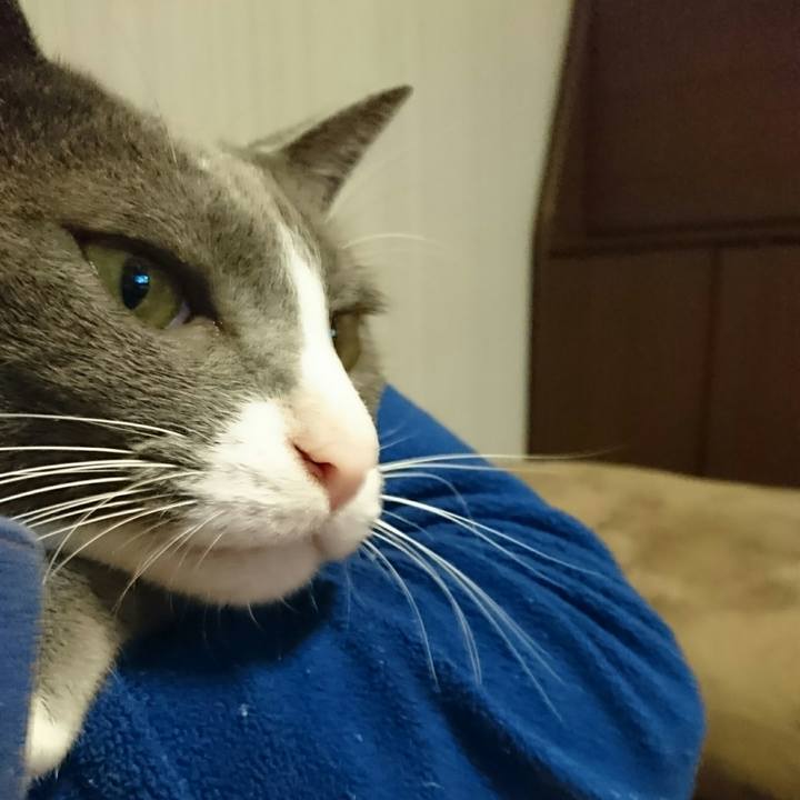 Eb9d7c77 a916 43e8 aa07 29b6758b367a