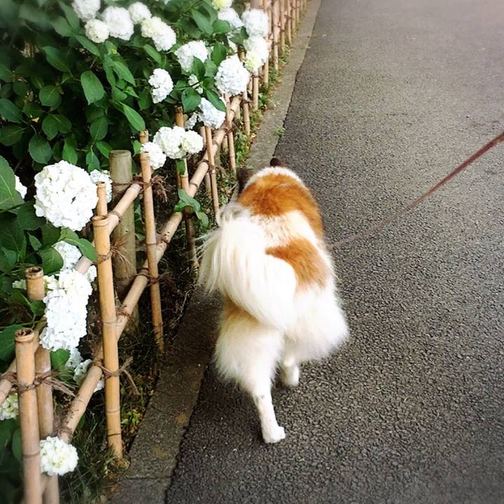 Eb9d864e 90c9 4b04 a927 a180fb051395