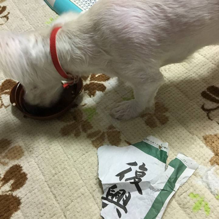 Eb9dcb4c e3f3 4e82 8d2f 78534ce1b32c