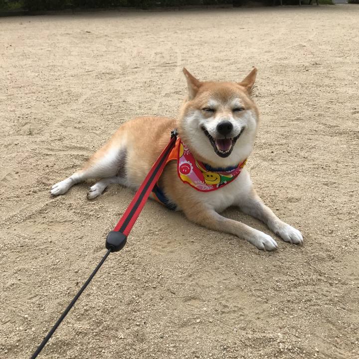 Eb9e0b73 3188 44fe b1c4 27fbd30312bb