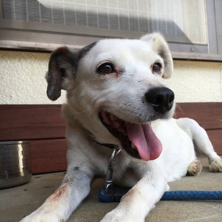 Eb9f3d8b b334 4fd4 a082 5a36a1ba3e9a