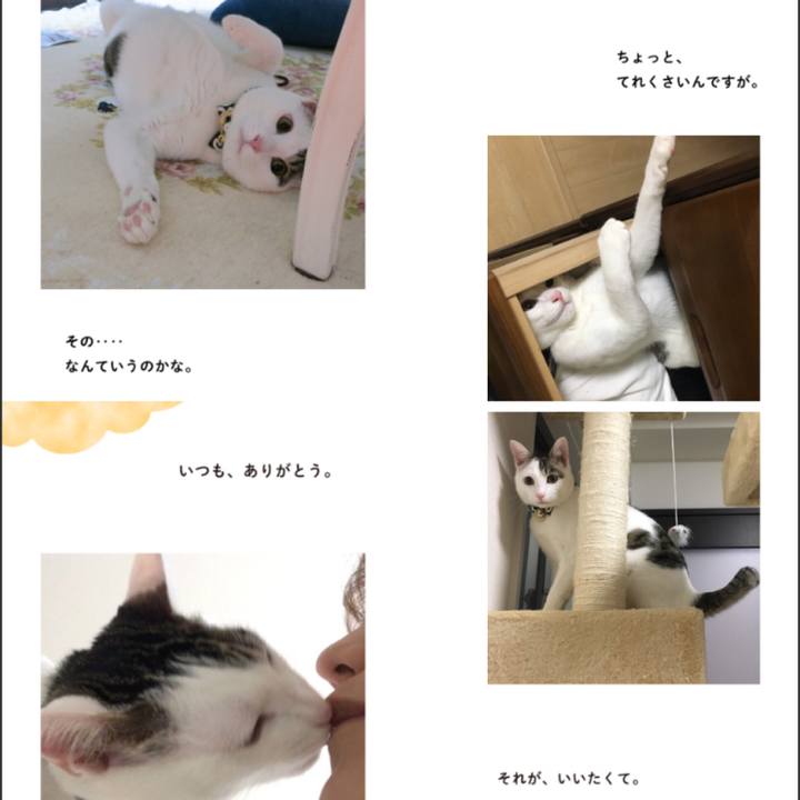 Eb9f455e 8e68 4d1d bcf9 81469d81aec1