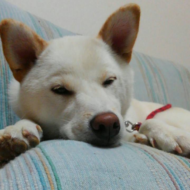 Eb9f617b 745f 4ead a043 8bab78fa0032