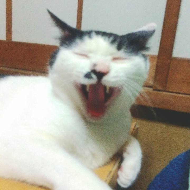 Eb9f80e2 2b33 44e9 938e 4ded1aabf01a