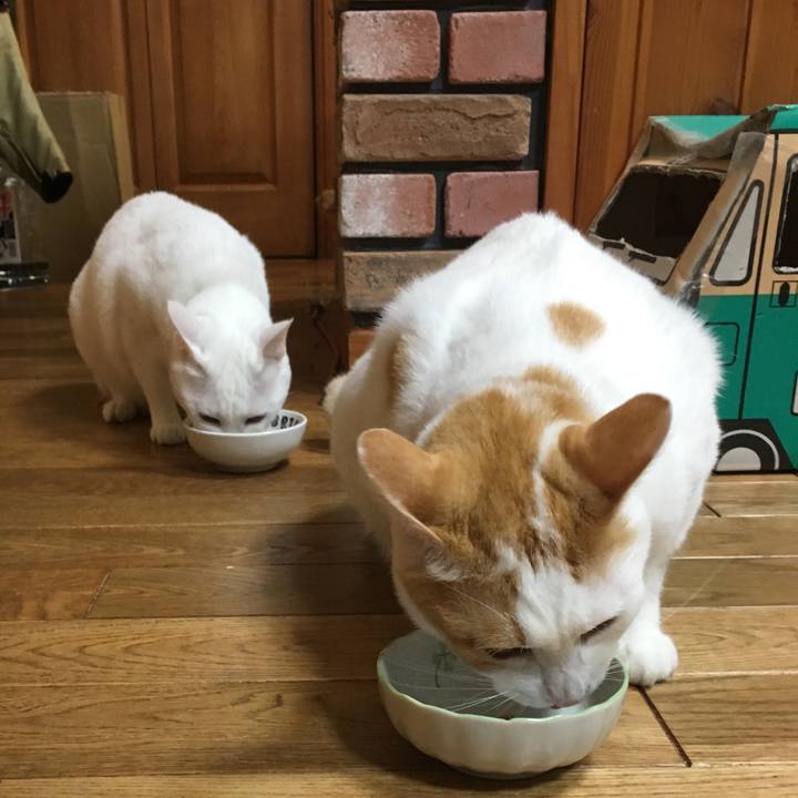 Eb9f9e29 36c2 4bff a214 65de6fec81c8