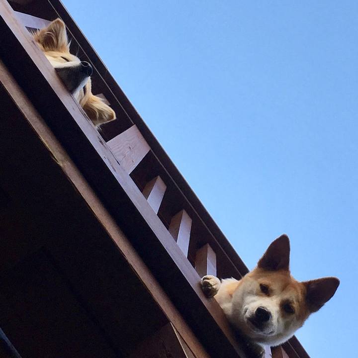 Eba151ba c378 48fa ab5e 15371478f3f6