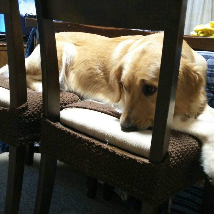 Eba22c0b bda7 45b0 9fa2 ea5ff1ee7762