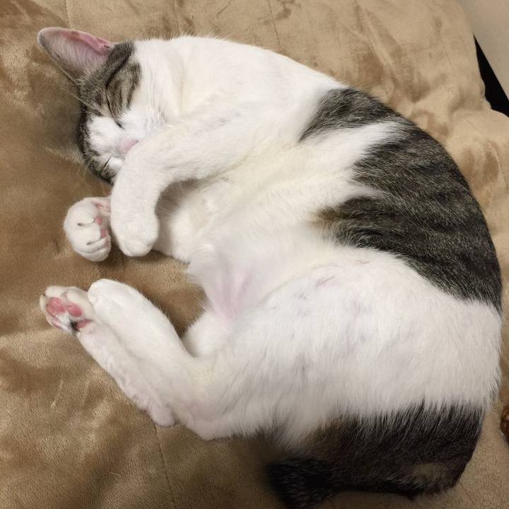 Eba28901 3c9a 42a5 95cf c169c0843cb3