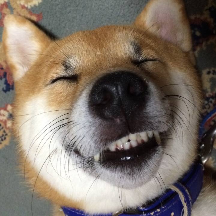 Eba2eec5 fce5 4d2a afff 9a77a12bb439