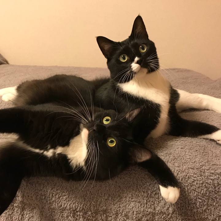 Eba3c0f8 ea64 4ffa 9e59 ad31d4fbf79c