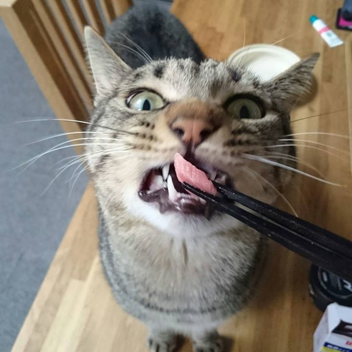 Eba3db95 19a7 47b3 8c45 8cac33f5f3e9