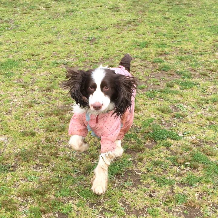 Eba500de 815e 4197 94c9 cbae445cd786