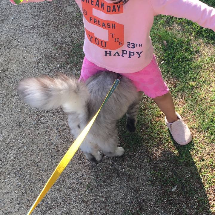 Eba5173e 25bb 417f 88a4 53824c6e91e1