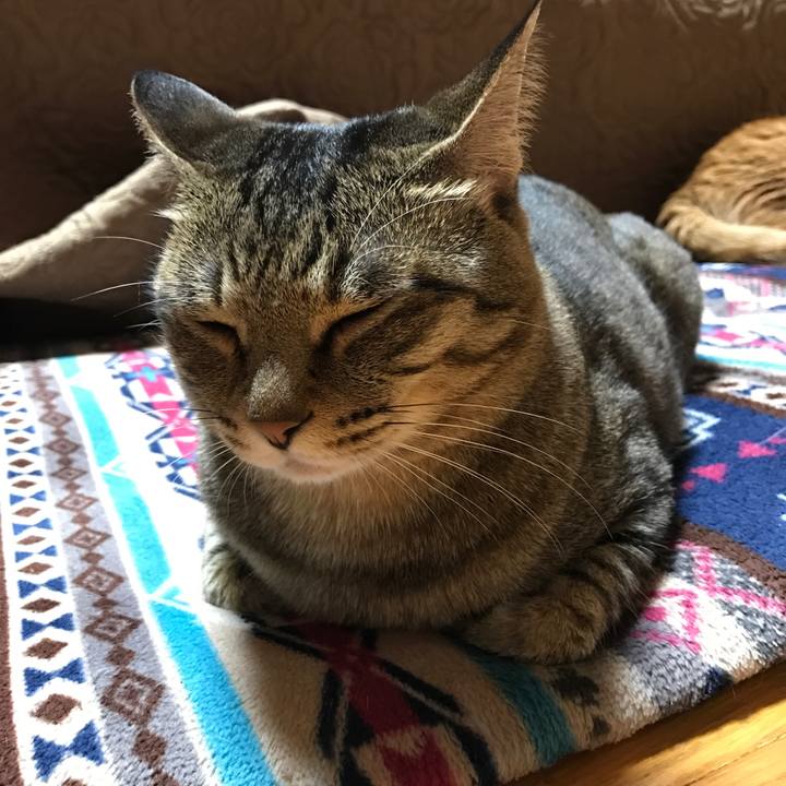 Eba579cc c0be 4db8 9d85 ffb678f9edf9