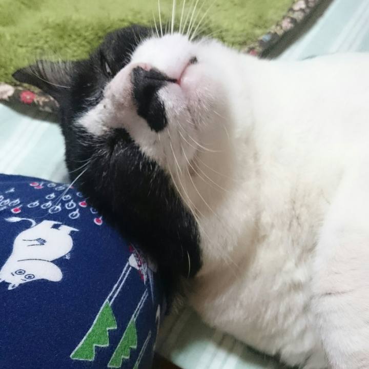 Eba59cd2 1fe5 4e95 a35d 26328b5b4e70