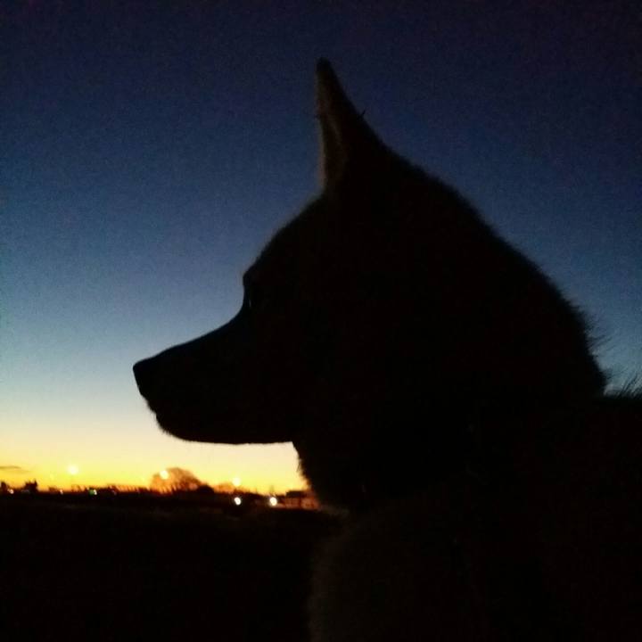 Eba6bd6c 4f77 4ac7 b932 b36baef4821f