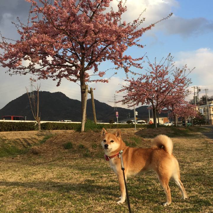 Eba79c71 e314 43cf b5f7 9f9dc5d47fc5