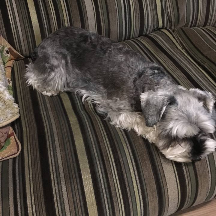 Eba815db 5850 4e19 bb9a 619e4cf8503a