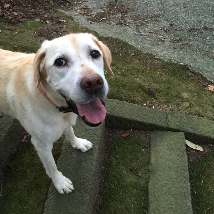 Eba8bab4 ee09 4b7c b751 25cf13ad4531