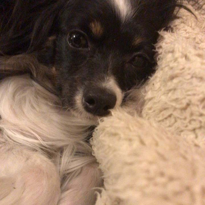 Eba950a9 2d97 4e9c 941b 86c01cd059b0