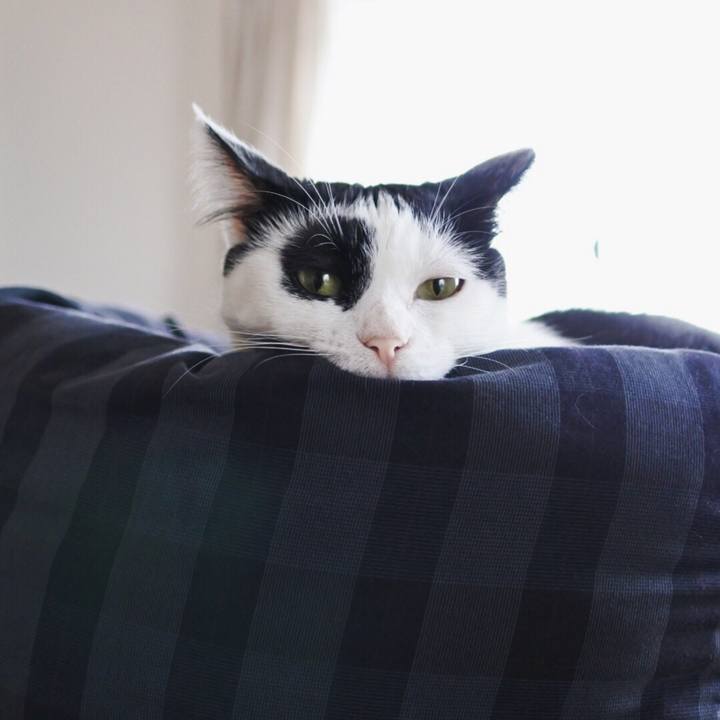 Eba98e44 b5d7 49cc a242 84a5af736481