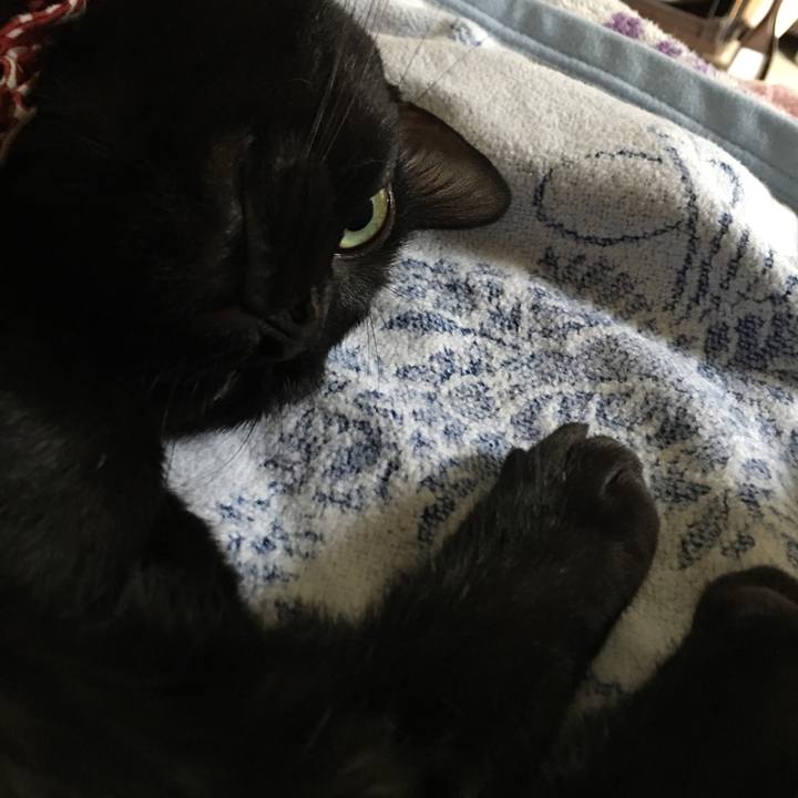 Eba9bbfb 4923 43ee 904f 1d58b74a6a79