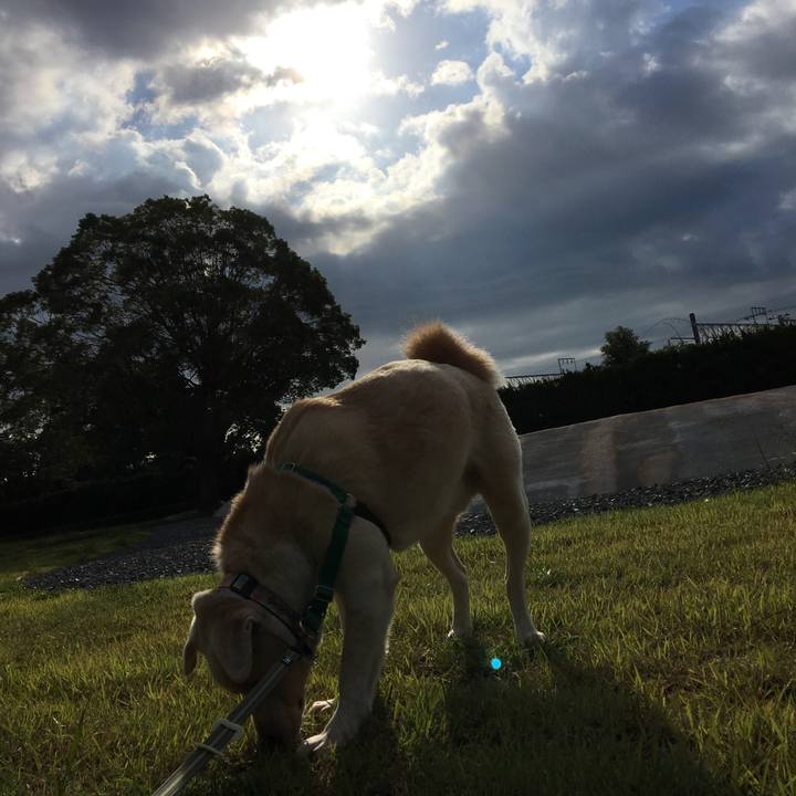 Eba9e0a7 3219 4a12 91c7 03365da20d64