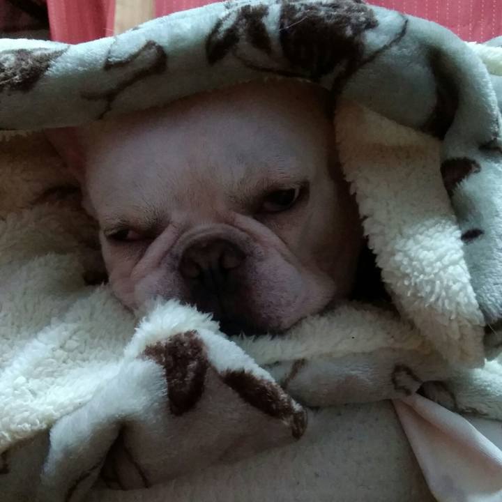 Ebaa44c2 ab29 4216 a6ff 59b5f781f328