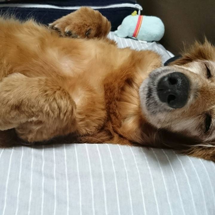 Ebaac03c 368c 40d4 9864 62c5fd425aa7