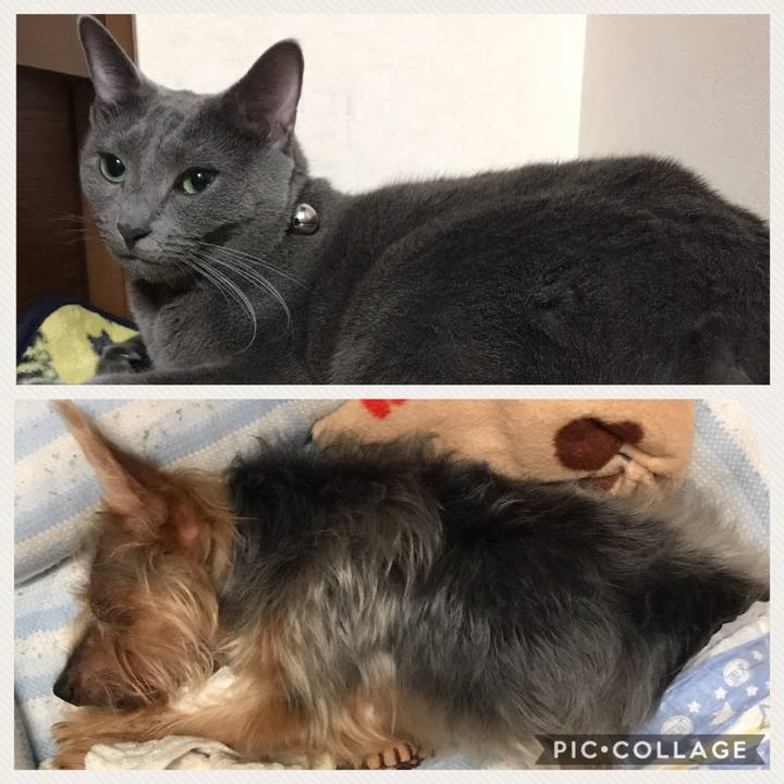 Ebab08a6 f58e 4f65 a42d 29029a7d094c