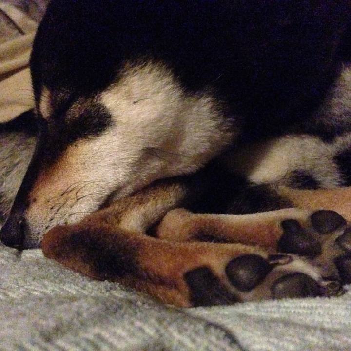 Ebab9724 dd35 4afa 9428 6fcac3381d46